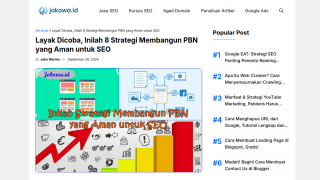 https://jokowa.id/strategi-membangun-pbn/