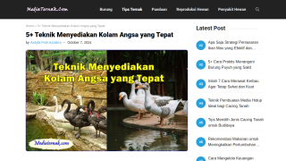 https://mediaternak.com/teknik-menyediakan-kolam-angsa/