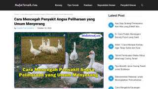 https://mediaternak.com/cara-mencegah-penyakit-angsa/