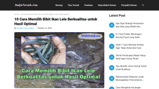 https://mediaternak.com/cara-memilih-bibit-ikan-lele/